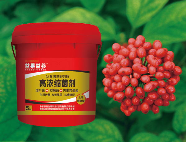 益果益参高浓缩菌剂
