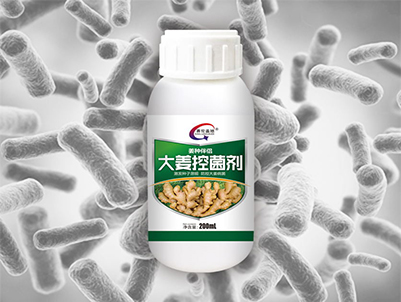 大姜控菌剂