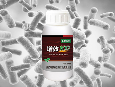 高微科技-增效100