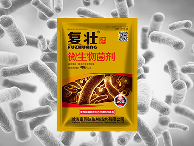 复壮微生物菌剂100g